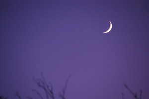 waxing crescent moon purple