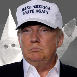 James Retherford : IMAGE | ‘Make America White Again’ | The Rag Blog